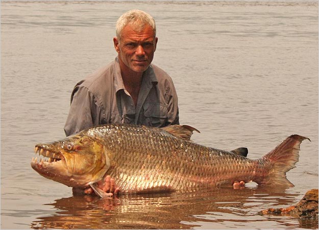 tigerfish