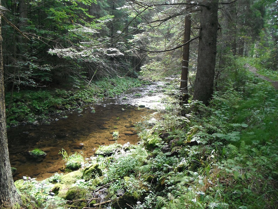 watercourse