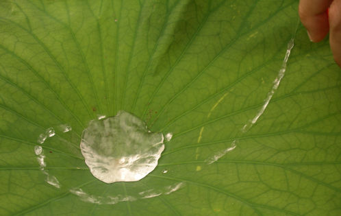water repellence