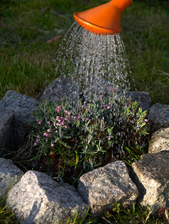 watering can~Ndelicate