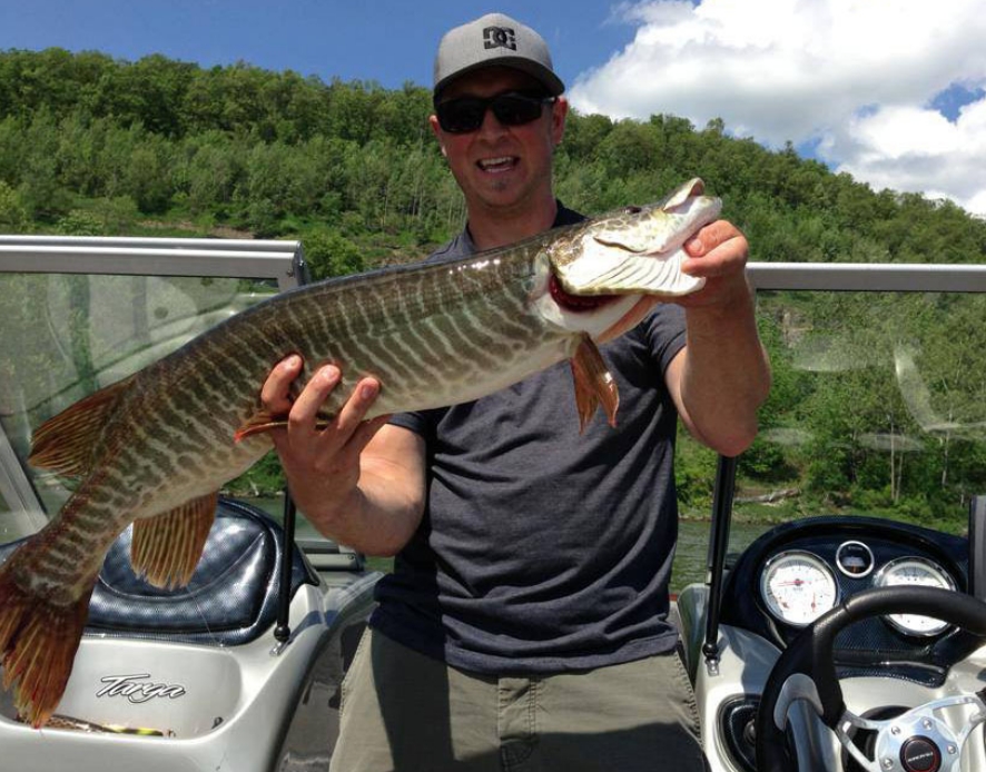 tiger muskellunge