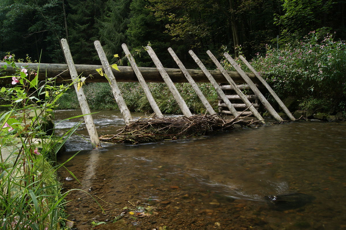 waterborne