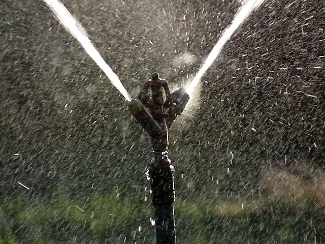 water