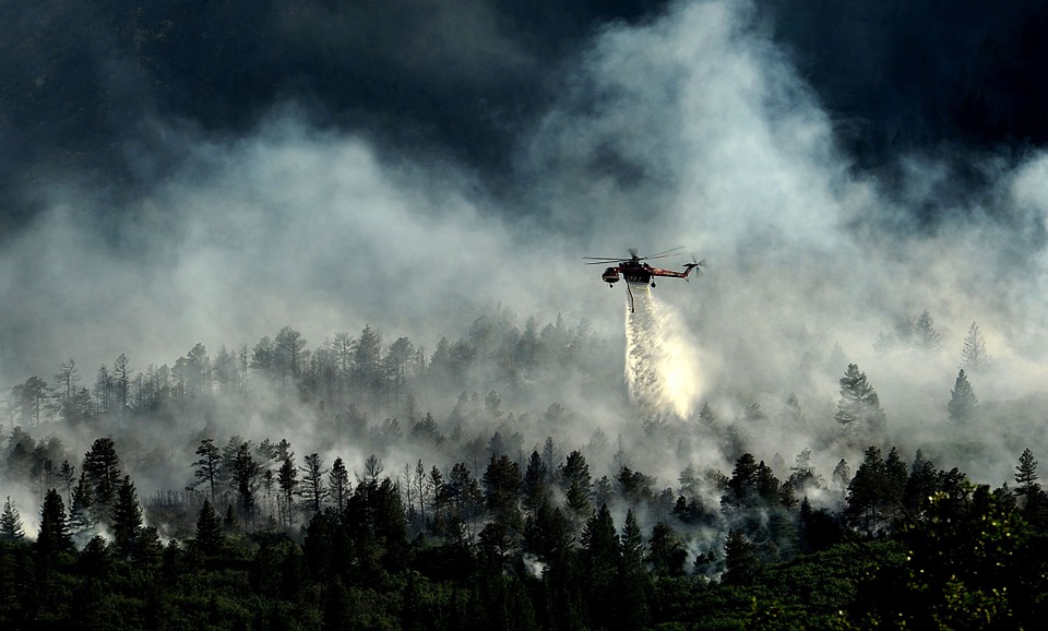 waterbomber