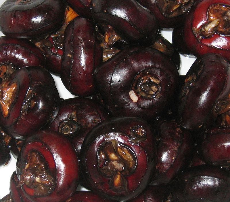 water chestnut