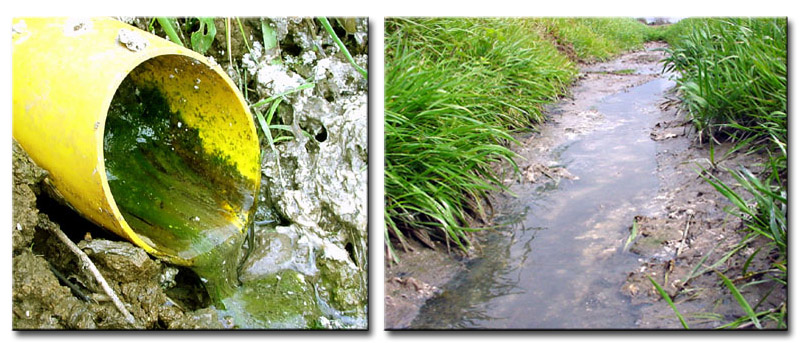 water pollution