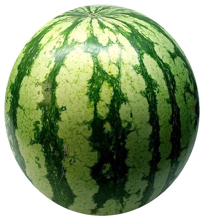 watermelon