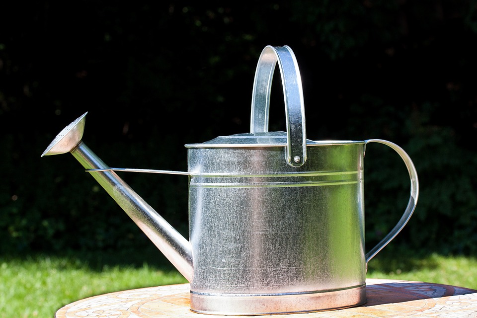 watering-can